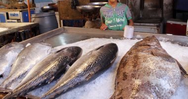 بالصور بيع الأسماك الكبيرة يزدهر بسوق السويس اليوم السابع