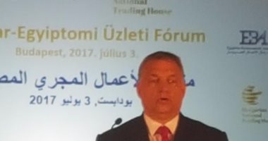 رئيس وزراء المجر: انظروا إلى الوضع فى سوريا وتخيلوا مصر بدون السيسى