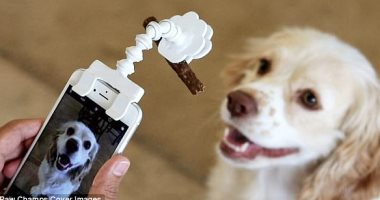 جهاز جديد يتصل بكاميرا هاتفك الذكى لالتقاط صور احترافية لحيوانك الأليف