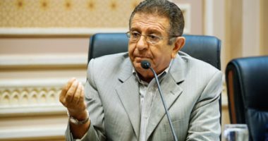 برلماني: مصر على أبواب ذروة كورونا والوعي والالتزام ينقذان الوطن
