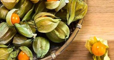 فاكهة "الحرنكش" علاج للأمراض المزمنة  