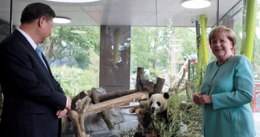 بالصور.. ميركل ورئيس الصين يحضران حفل استقبال الباندا "منج جياو" بحديقة حيوان برلين 