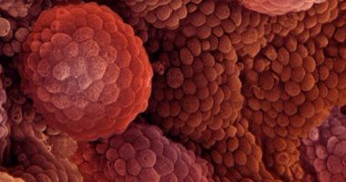 تطوير لقاح جديد لتسعة أنواع من فيروس الورم الحليمى البشرى