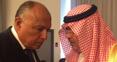 الخارجية: تنسيق مصرى سعودى قبيل اجتماعات وزراء "التعاون الإسلامى"