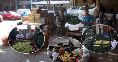 "تموين الجيزة": حرمان المخالفين للأسعار الاسترشادية للخضر والفاكهة من تداول السلع