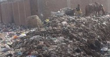 بالصور.. انتشار القمامة بقرية البرادعة مركز القناطر الخيرية