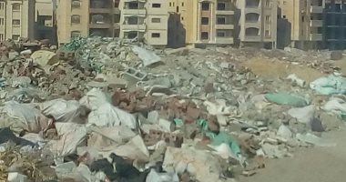 بالصور.. قارئ يرصد تراكم القمامة بمنطقة أبو الهول فى التجمع الخامس 