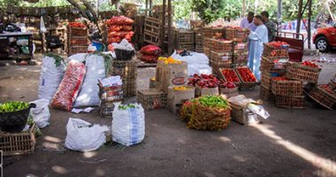 انخفاض أسعار الطماطم لجنيه واحد للكيلو فى سوق العبور للجملة 
