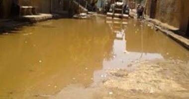بالصور... غرق شارع بالطالبية فى مياه الصرف الصحى