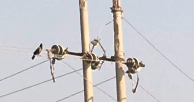 سكان قرية الكلايبة فى الأقصر يشكون تباطؤ توصيل كابلات الكهرباء لمنازلهم