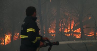 بالصور..  استمرار محاولات السيطرة على حرائق الغابات فى كرواتيا