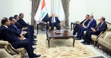 شكرى لـ"رئيس وزراء العراق": مستعدون لمساعدة بغداد فى حربها ضد داعش