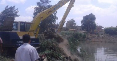 إزالة 773 حالة تعدٍ على الرقعة الزراعية ونهر النيل فى الغربية