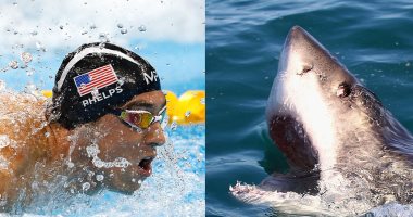 بالفيديو.. السباح الأوليمبى مايكل فيلبس يخسر سباقا مع سمكة قرش بفارق ثانيتين