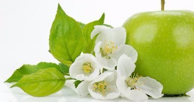 فوائد التفاح.. يحمى من الزهايمر ويعالج البواسير ويغذى الشعر