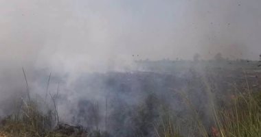 بالصور .. إخماد حريق اندلع بأحد الحقول بقرية الروضة بالمنيا