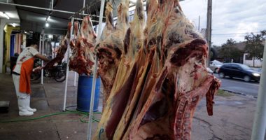 "مجمعات الأهرام": زيادة اللحوم والدواجن بالمنافذ استعدادًا لعيد الأضحى
