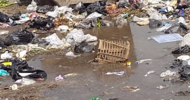 بالصور.. مياه الصرف الصحى تغمر مساكن أبو النمرس بالجيزة