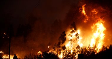 بالصور.. رجال الإطفاء فى البرتغال يكافحون حرائق الغابات