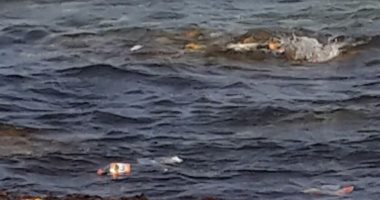 بالصور.. انتشار القمامة على "عجيبة" أجمل شواطئ مرسى مطروح الشهيرة