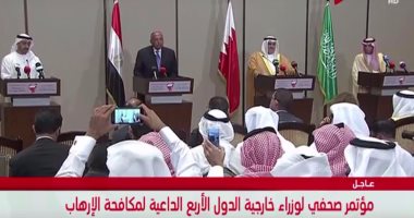 سامح شكرى: يجب وضع آليات لتنفيذ قطر مطالبنا بالكامل