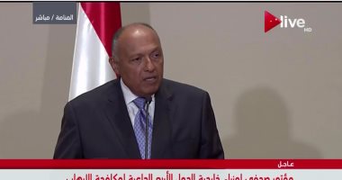 وزير الخارجية أمام الوزراء العرب يطالب بوقف دعم الإرهاب بالمنطقة
