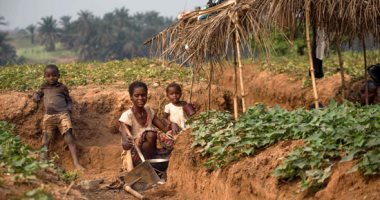 بالصور.. ظروف معيشية قاسية للأسر الكونغولية الهاربة من هجمات المتمردين
