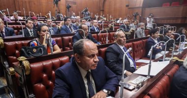 رئيس محكمة جنايات القاهرة يطالب البرلمان بتعديل منظومة العدالة فى مصر