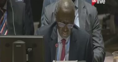 مندوب السنغال بالأمم المتحدة: أشكر الوفد المصرى على صياغته قرار مكافحة الإرهاب