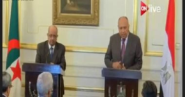 سامح شكرى: وزير خارجية الجزائر سلم رسالة من بوتفليقة للرئيس السيسي