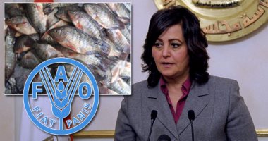 نائب وزير الزراعة: مصايد الأسماك تمثل 23% من الإنتاج السمكى فى مصر