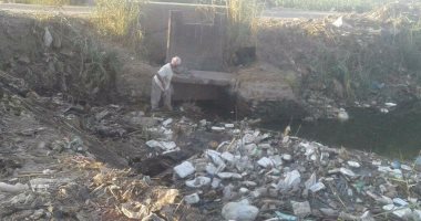 بالفيديو والصور.. أهالى قرى "القوصية" يشكون نقص مياه الرى لزراعة الأراضى