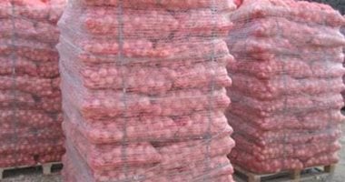 الزراعة: ارتفاع صادرات البصل لـ 267 ألف طن لجميع الأسواق العالمية