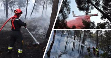حرائق الغابات تدمر مئات الأفدنة جنوب شرق فرنسا