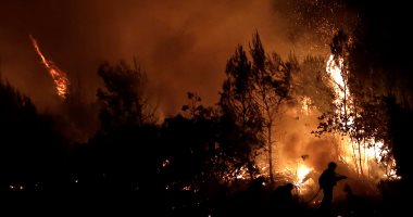 بالصور.. حرائق الغابات بالقرب من أثينا تجبر السكان على الفرار من منازلهم