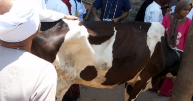 بالصور .. محافظ سوهاج: توقيع الكشف الطبى على 300 ماشية بقرية الغريزات
