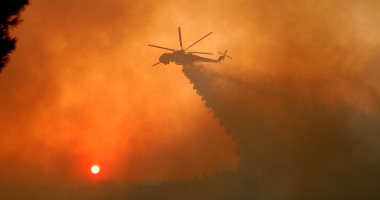 الحرائق تدمر 214 ألف هكتار من الغابات والأحراج فى البرتغال منذ بداية 2017