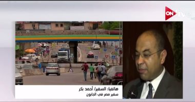 سفير مصر فى الجابون: استقبال حافل للرئيس السيسى فى ليبرفيل