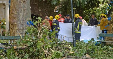 بالصور.. ارتفاع ضحايا سقوط شجرة في البرتغال لـ 13 قتيلا و 49 مصابا 