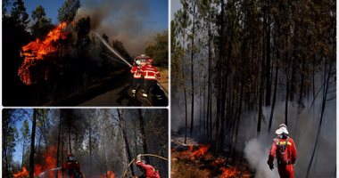 حرائق هائلة فى غابات البرتغال.. والنيران تلتهم مئات الأفدنة