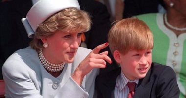 الصراحة والأعمال الخيرية أشياء تثبت أن الأمير  "هارى" الوجه الآخر لأمه 