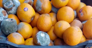 بالصور.. مباحث التموين بالشرقية تضبط 4 طن برتقال غير صالح للاستهلاك الآدمى