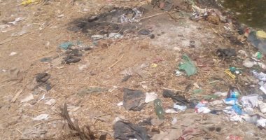 بالصور.. تراكم القمامة بقرية منشأة التحرير بالشرقية وقارئ يطالب بصناديق قمامة