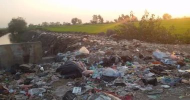 بالصور.. شكوى من انتشار القمامة فى قرية ميت عدلان بمحافظة الدقهلية