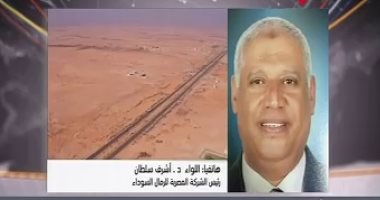 رئيس "المصرية للرمال السوداء": بناء مجمعات لإعطاء قيمة مضافة للثروات المعدنية