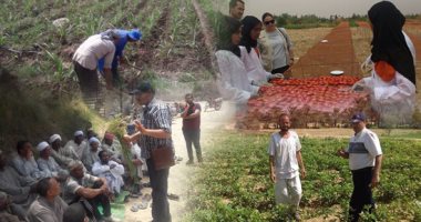 وزير البيئة الأردني في حوار مع "القاهرة الإخبارية": مؤتمر شرم الشيخ cop27 حقق مكاسب أبرزها الموافقة على صندوق الخسائر.. والتغير المناخي يؤثر على كوكب الأرض وأطلقنا مبادرة "اللاجئين والمناخ" بعد زيادة عدد السكان