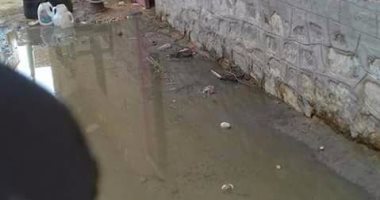 المياه الجوفية تهدد منازل قرية المسلمية فى الشرقية