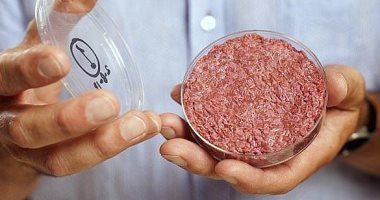 إيطاليا تطلق قرارا نهائيا بحظر اللحوم المصنعة مختبريا