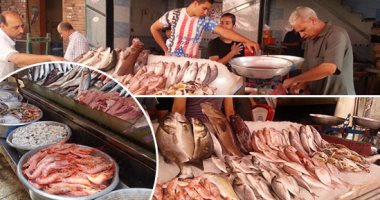 "مجمعات الإسكندرية": طرح 8 أطنان أسماك يوميًا بأسعار مخفضة