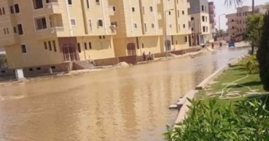 شكوى من غرق شوارع المنطقة السادسة بمدينة السادات بعد كسر ماسورة مياه